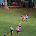 IMG 8554
